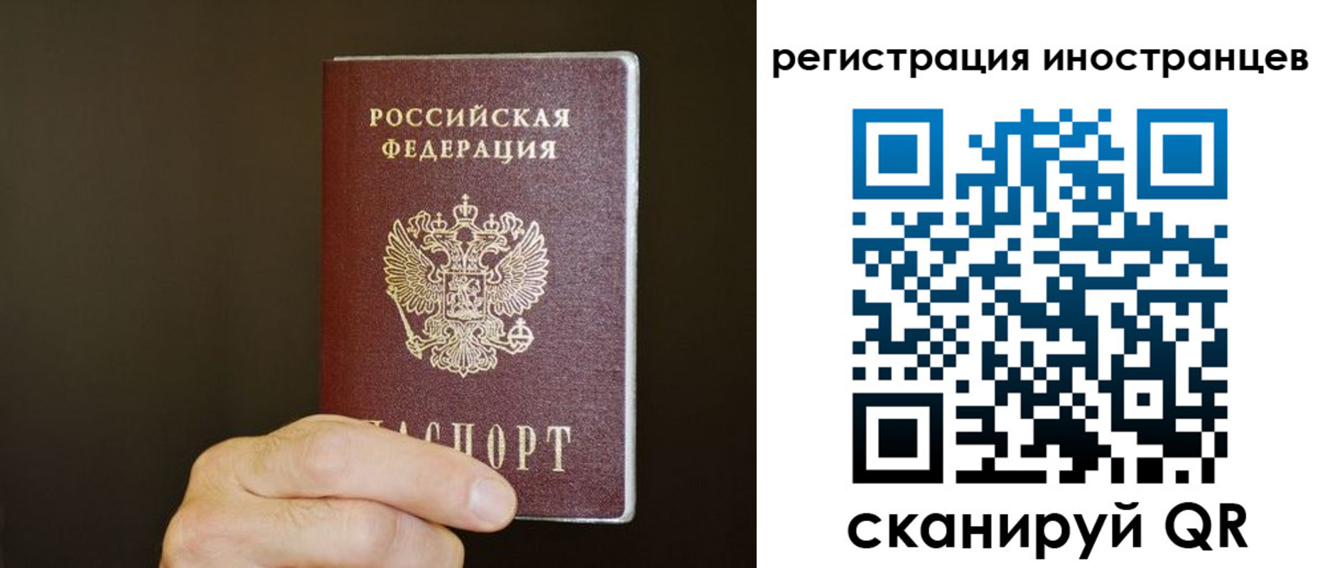 прописка в Лихославле